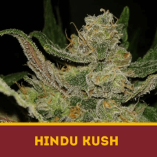 HINDU KUSH