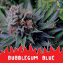 Насіння коноплі  Bubblegum Blue