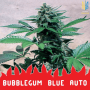 Насіння коноплі  BUBBLEGUM BLUE AUTO