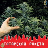 Татарская Ракета