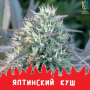 Насіння коноплі  Yalta Kush